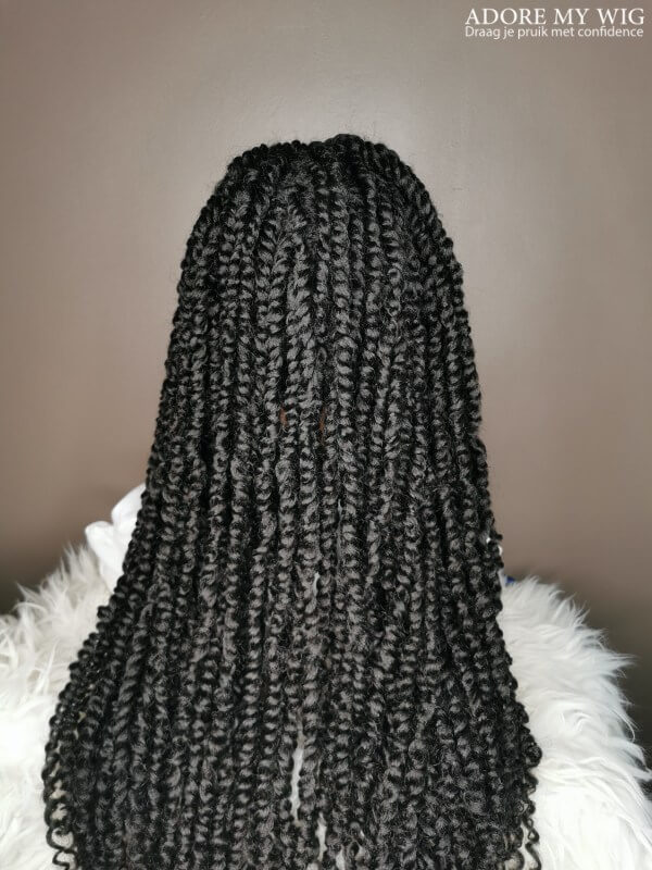 Excellence: Twist Braid Wig